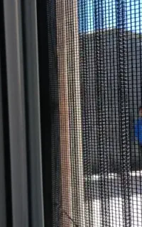 نیازمند کارگر ساده تزریق پلاستیک