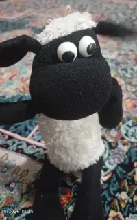 بره ناقلا