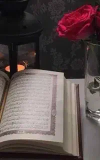 سر کتاب