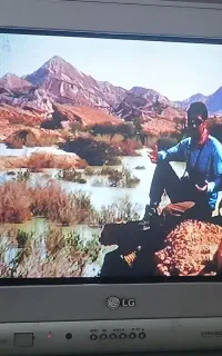 تلوزیون