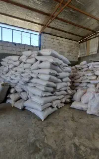 تفاله چغندر و نیشکر