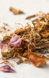 آموزش گیاه شناسی و روغن درمانی