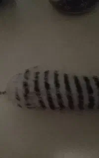 جا کلیدی  بزرگ