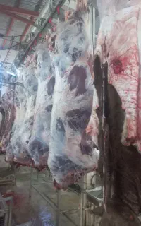 قصاب قصابی بی خسی