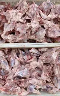 فروش عمده و خرده اسکلت مرغ و بوقلمون کشتار روز