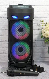 اسپیکر قابل حمل بلوتوثی ۴۲۳