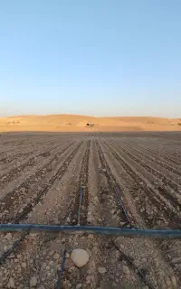 قطره ای زمین کشاورزی