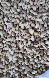 پسته بادامی درجه یک