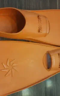 فین شنا