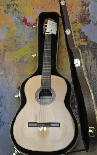 گیتار Sanchez 1008 تمیز + هاردکیس