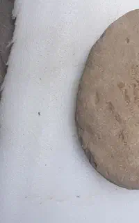 سنگ