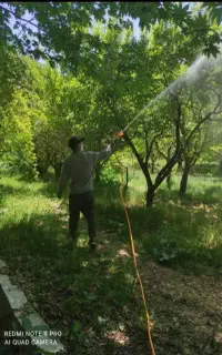 خدمات باغبانی وسم پاشی گیاهان آپارتمانی و باغچه