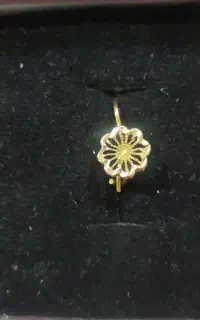 گوشواره طلای گمشده