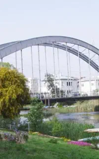 دعوت به همکاری فروش باماهیانه درآمدبالای ۵۰میلیون