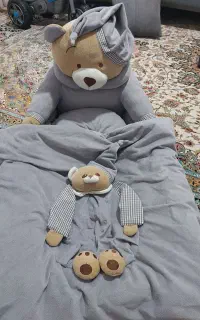 تشک گاردار تدی
