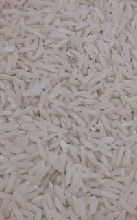 برنج طارم هاشمی درجه یک یک