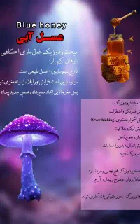 رهایی از افسردگی، اضطراب، اعتیاد با قارچ