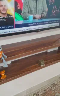 زیرتلویزیونی