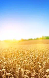 استخدام درشرکت بزرگ دانش بنیان