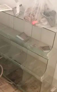 ظرف اجیل سوپر