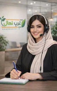 فروش ویژه نهال گردو بادام سیب گیلاس البالو گلدانی