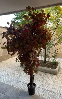 درخچه مصنوعی