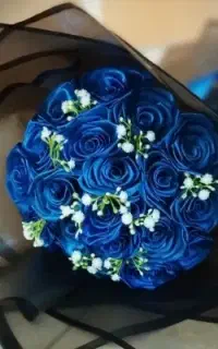 گل ربانی مناسب و زیبا