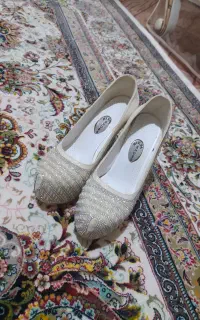 کفش مجلسی