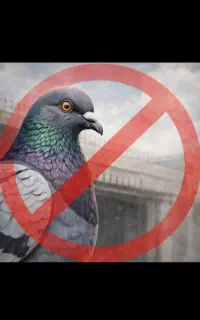 نصب توری بالکن جوشکاری سیار