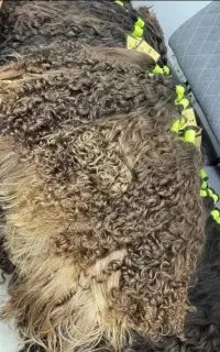 کوتاهی مو . و مرکز خرید مو با بهترین قیمت