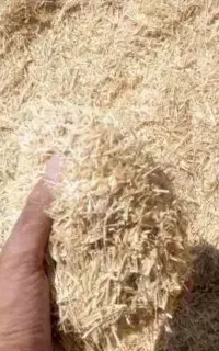 دو تن کاه گندم