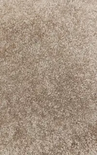 موکت پالاز رنگ کرم نسکافه ای