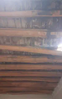 خرید چوب خشک دام تیری