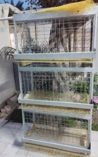 فروش قفس مرغ تخم گذار
