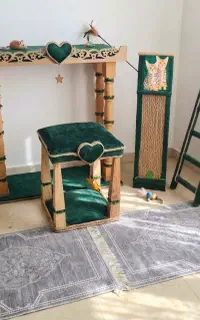 مجموعه سلطنتی برای گربه
