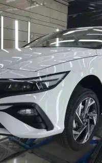 النترا ۲۰۲۵ خشک درجه یک