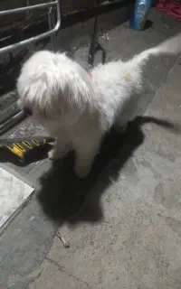 ایالت