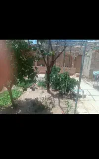 اجاره خونه ۳۰۰ متری