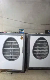 فروش دستگاه جوجه کشی ۱۰۰۸ تایی شرکت فاخته