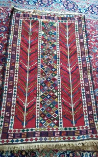 ورنی