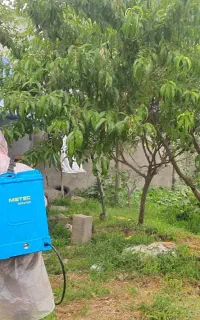 سمپاشی حرفه ای