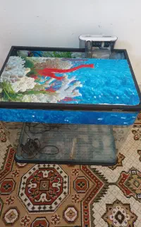 اکواریوم