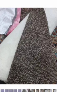 موکت