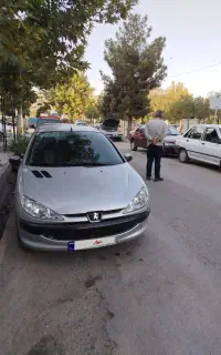 206فوقلاده سالم درجه یک