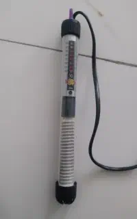 بخاری. اکواریوم