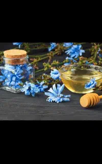 کار برای بانوان فعال
