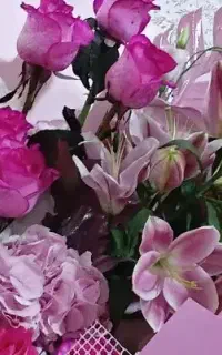 سیم کارت ۰۹۱۲۳۷۳۰۵۸۶