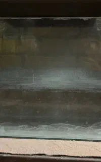 آکواریوم سالم