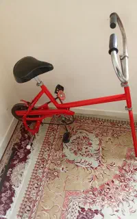 دوچرخه ثابت