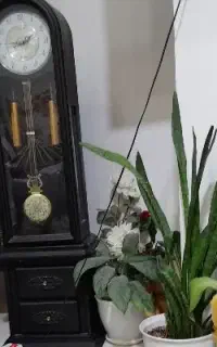 ساعت ایستاده